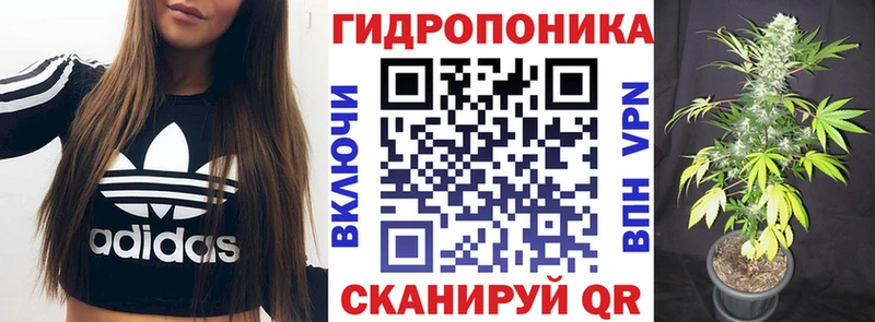 купить  сайты  Бирюч  МАРИХУАНА марихуана 